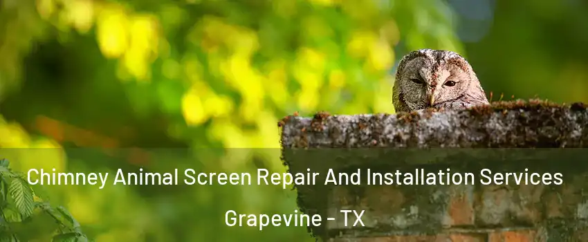  Chimney Animal Screen Repair And Installation Services Grapevine - TX