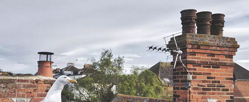 Chimney Cleaning And Restoration in Grapevine, Texas